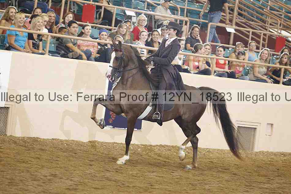 Proof 12yn_18523