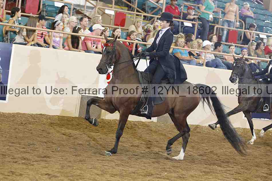 Proof 12yn_18602