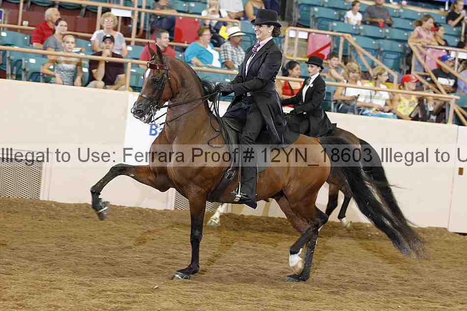 Proof 12yn_18603