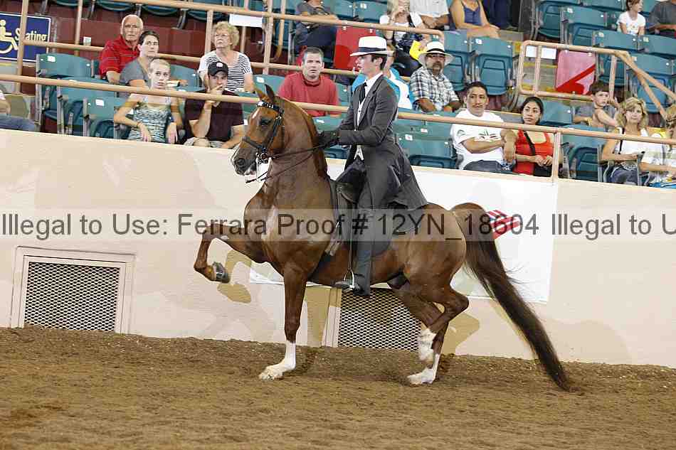 Proof 12yn_18604