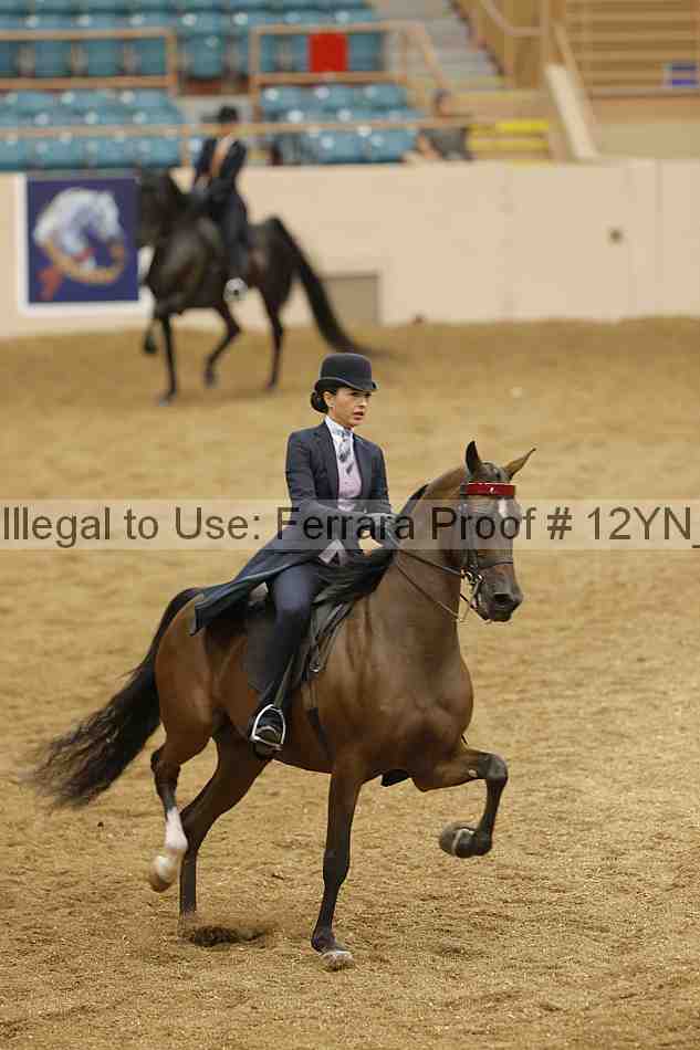 Proof 12yn_18605