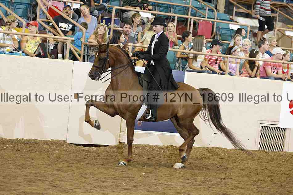 Proof 12yn_18609