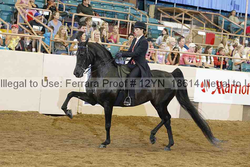 Proof 12yn_18614