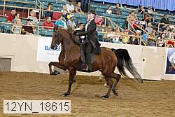 12yn_18615 proof