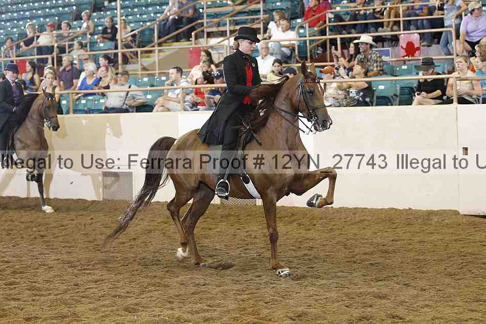 Proof 12yn_27743