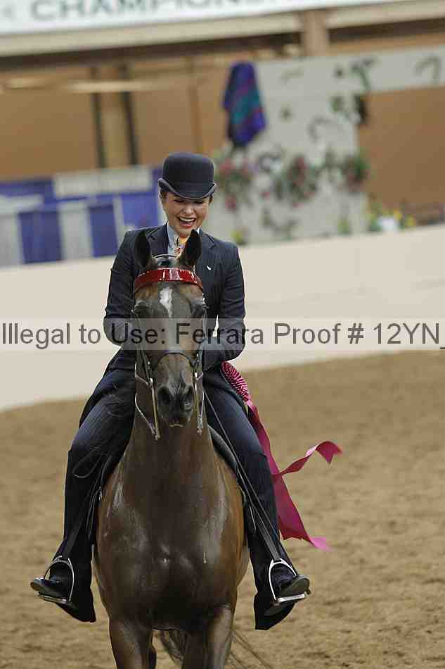 Proof 12yn_27805