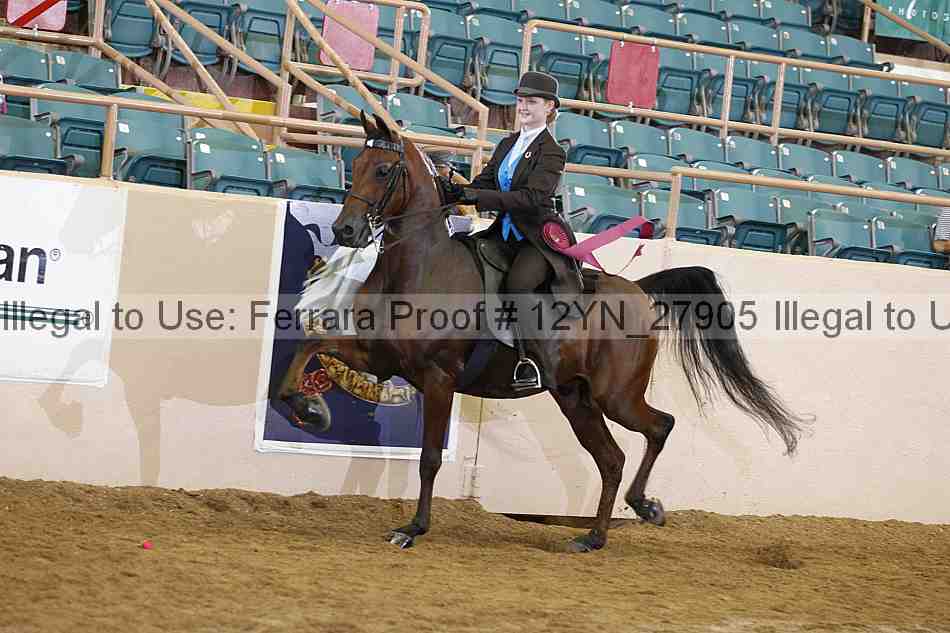 Proof 12yn_27905