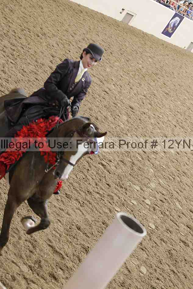 Proof 12yn_27936