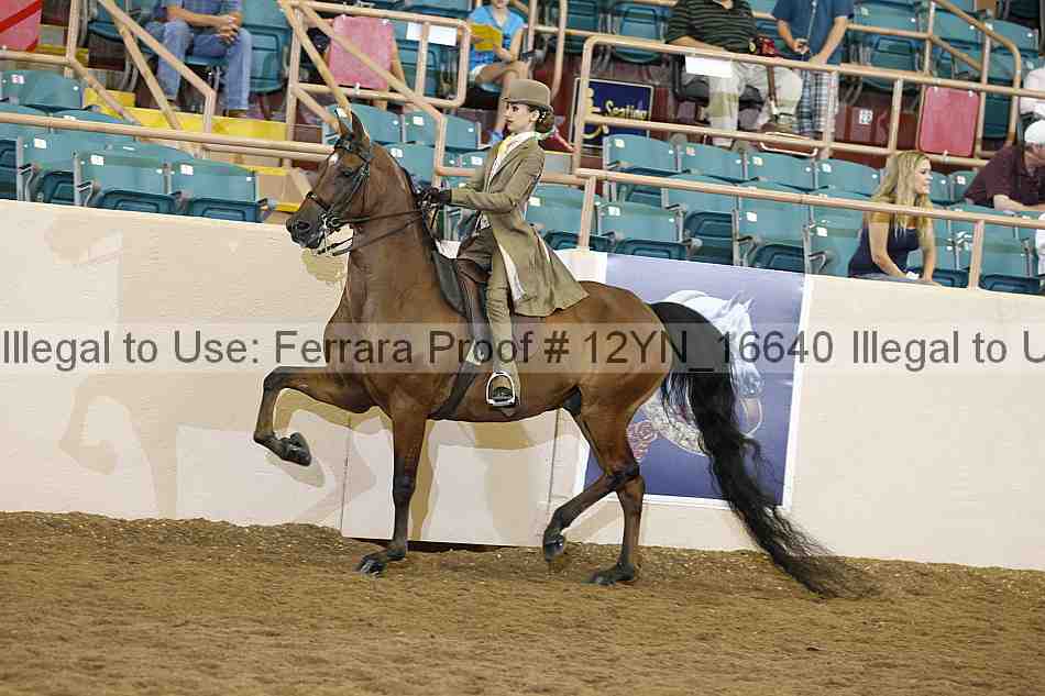 Proof 12yn_16640