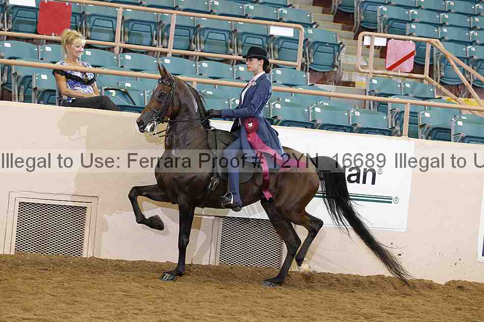 Proof 12yn_16689