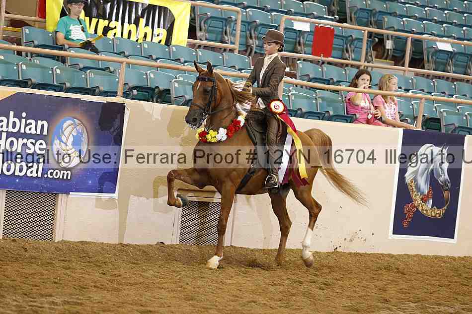 Proof 12yn_16704