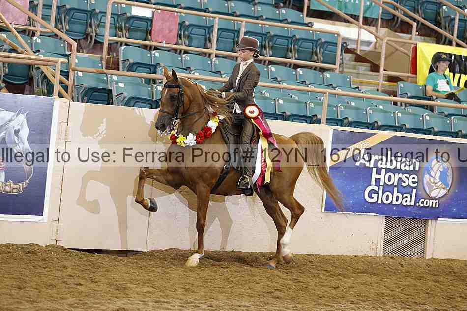 Proof 12yn_16705