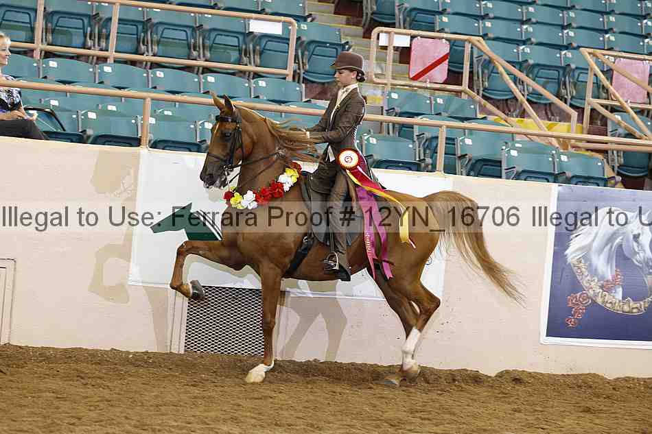 Proof 12yn_16706