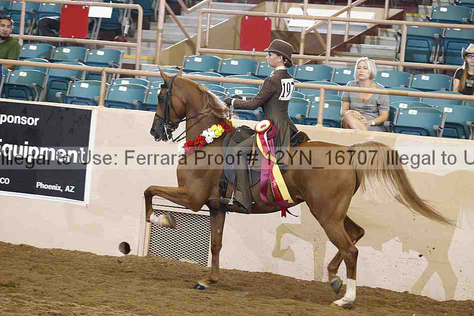 Proof 12yn_16707
