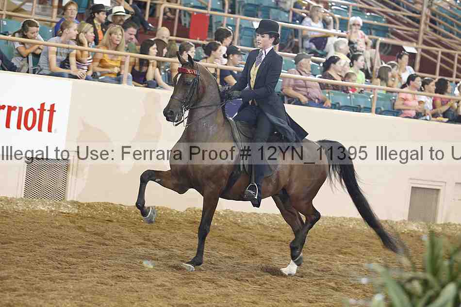 Proof 12yn_11395