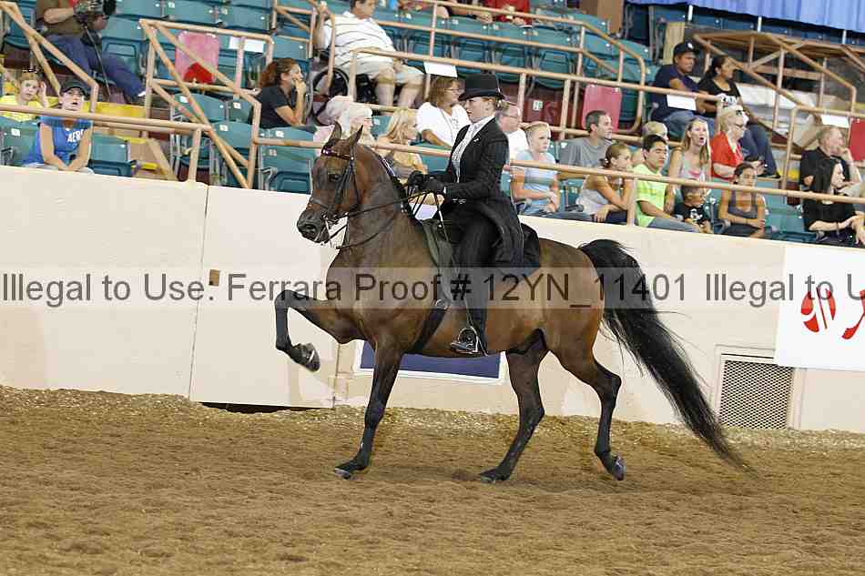 Proof 12yn_11401