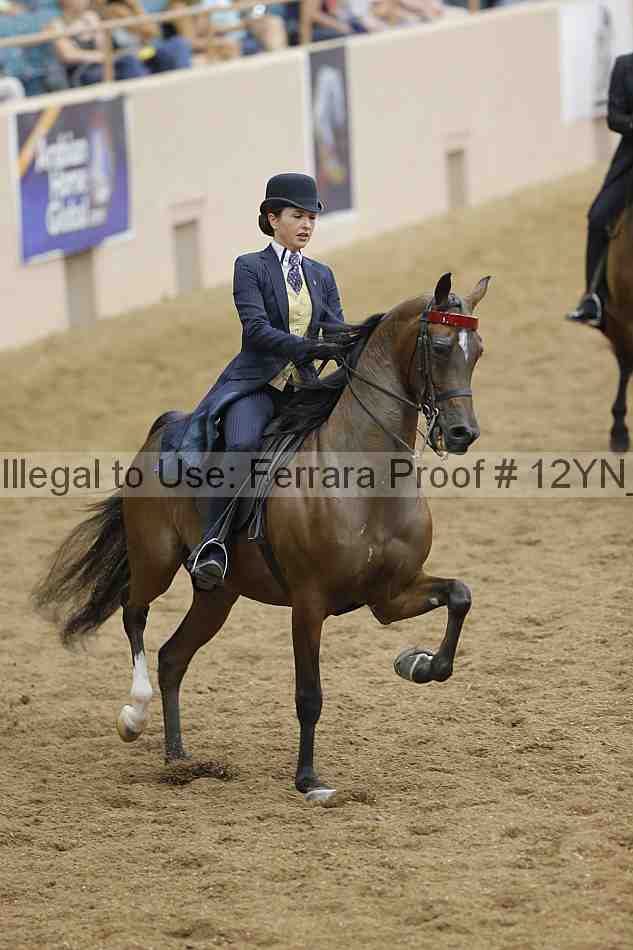 Proof 12yn_11405