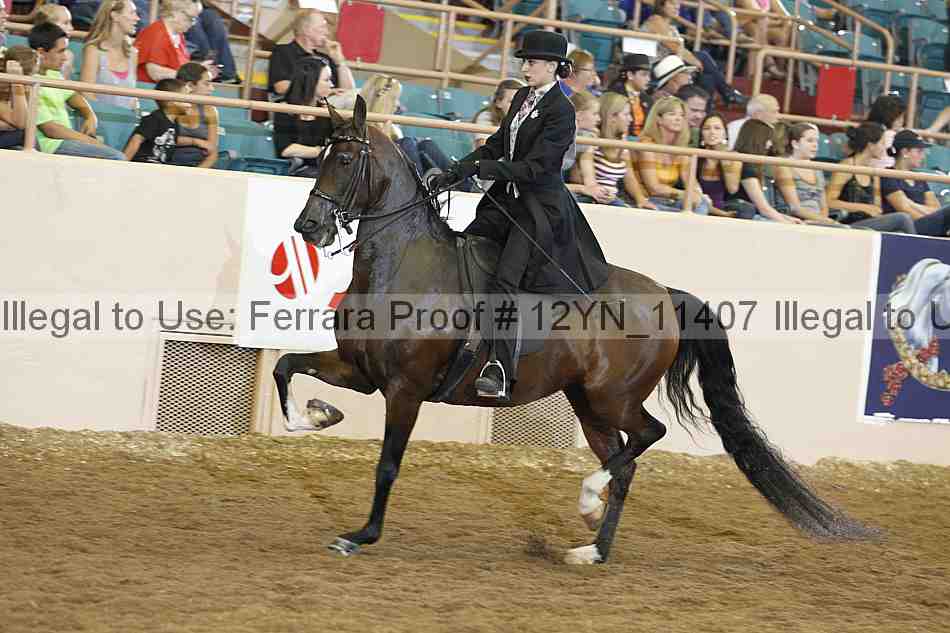 Proof 12yn_11407
