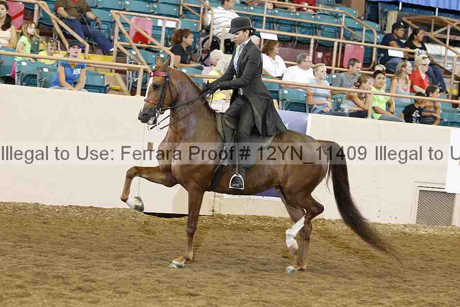 Proof 12yn_11409