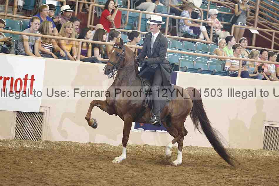Proof 12yn_11503