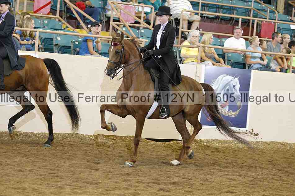 Proof 12yn_11505