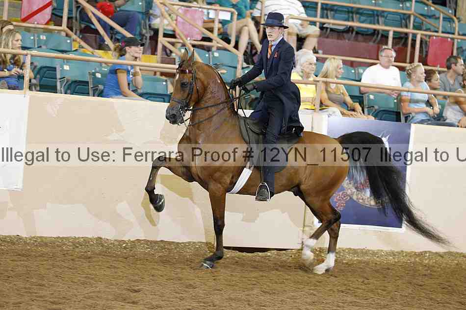 Proof 12yn_11507
