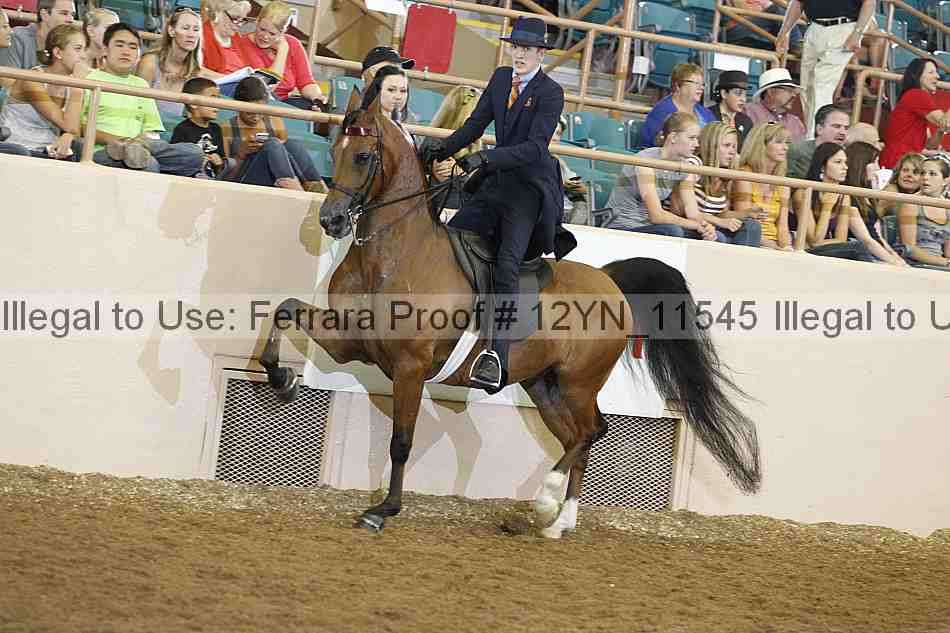 Proof 12yn_11545