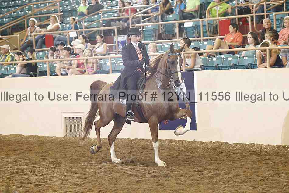 Proof 12yn_11556