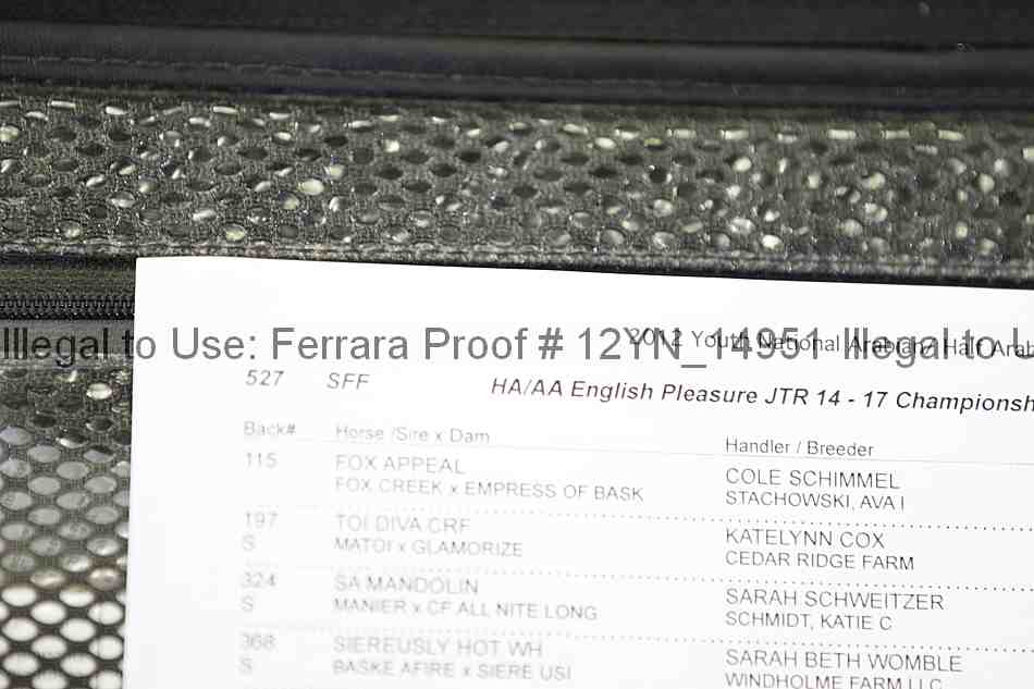 Proof 12yn_14951