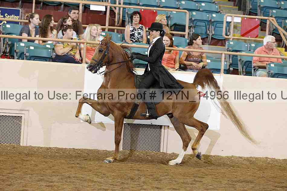 Proof 12yn_14956