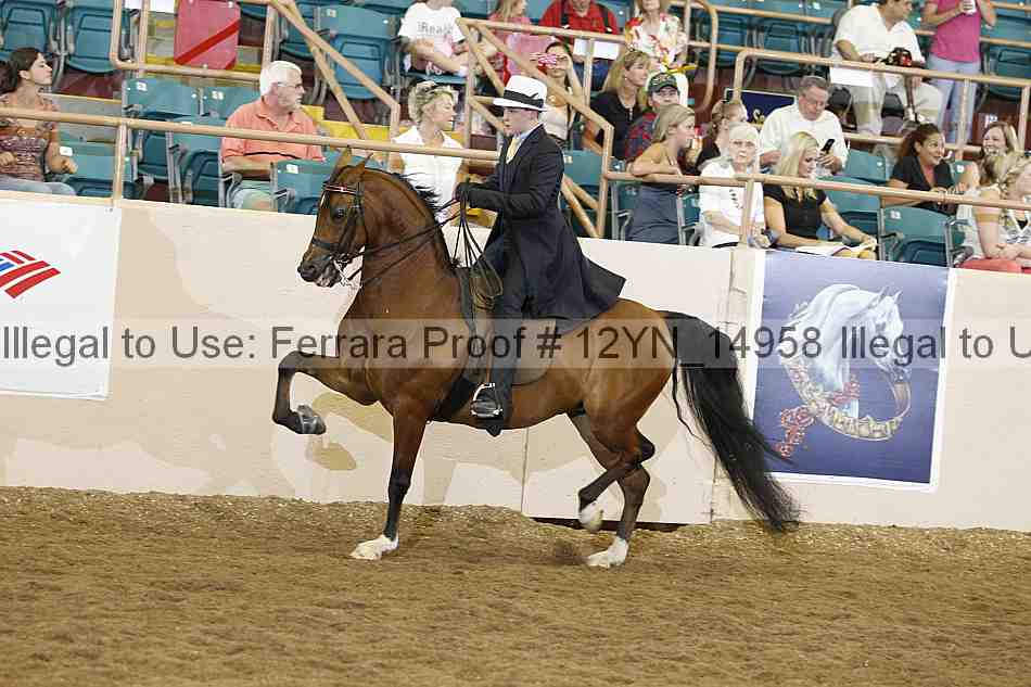 Proof 12yn_14958