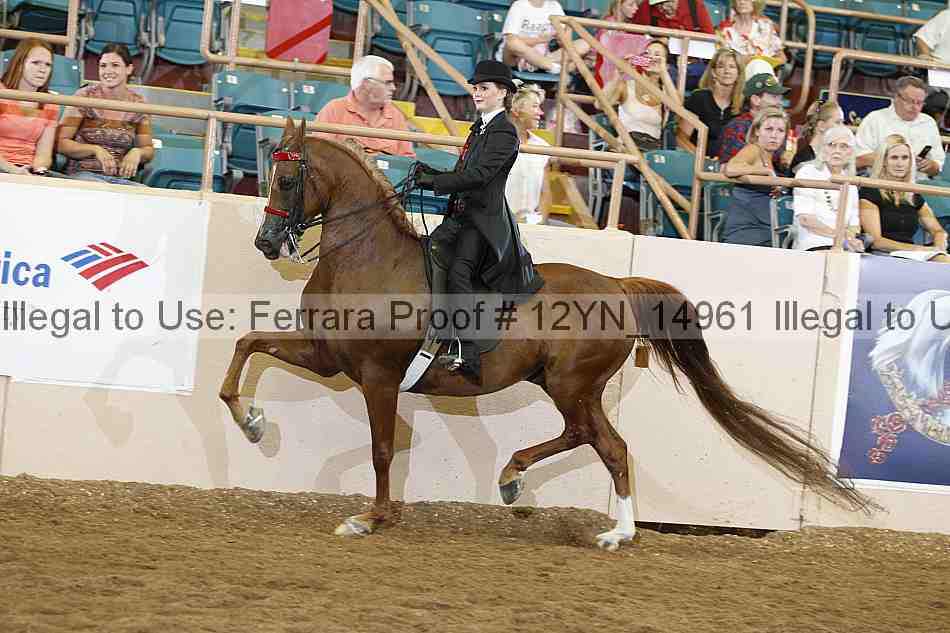Proof 12yn_14961