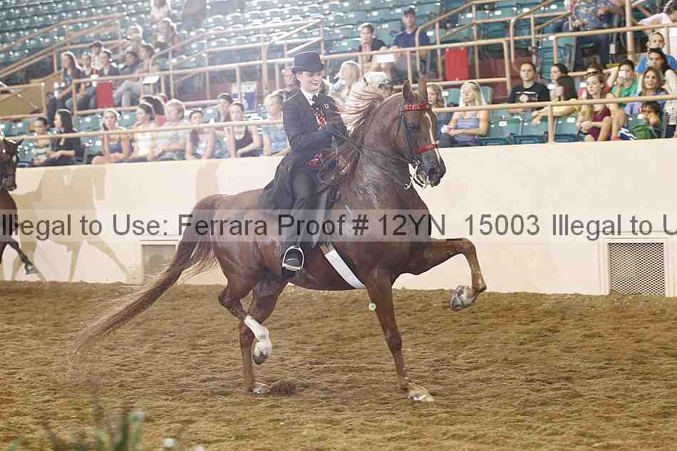 Proof 12yn_15003