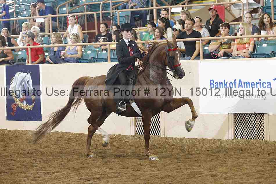 Proof 12yn_15012