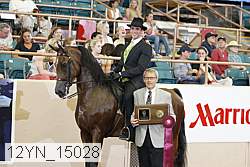 12yn_15028 proof