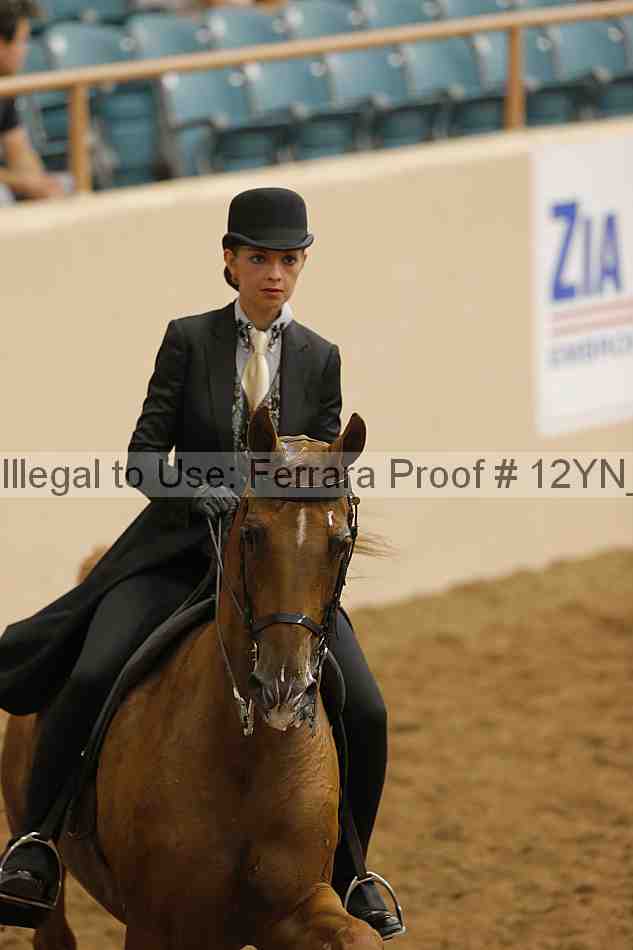 Proof 12yn_15082