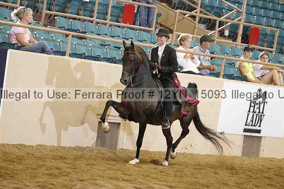 Proof 12yn_15093