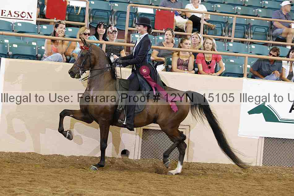 Proof 12yn_15105
