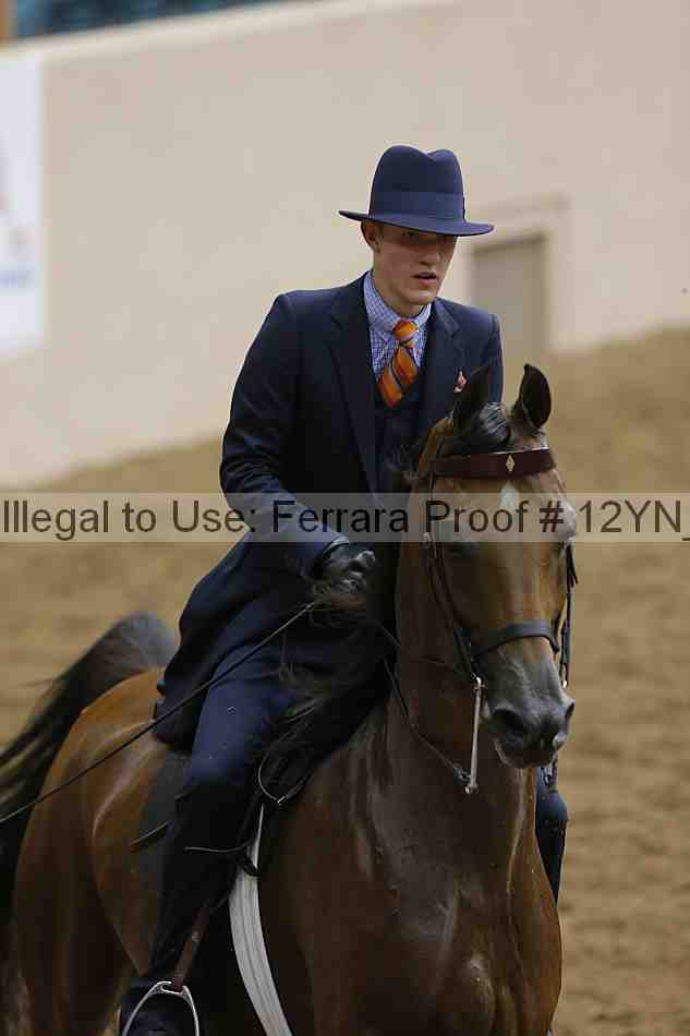 Proof 12yn_15107
