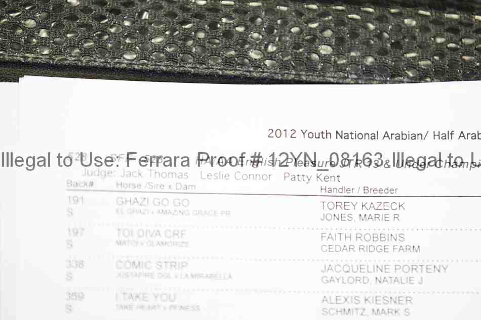 Proof 12yn_08163
