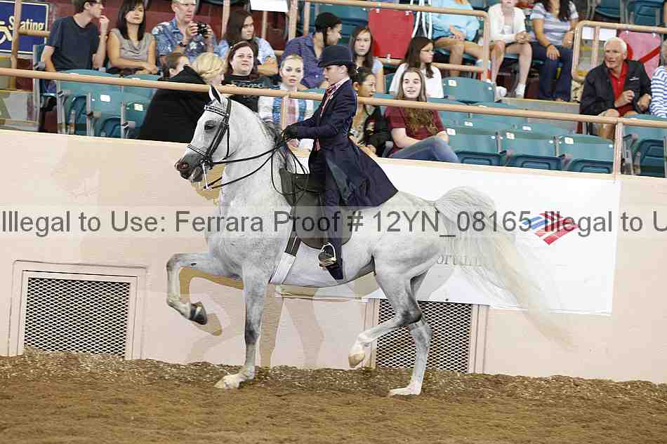 Proof 12yn_08165