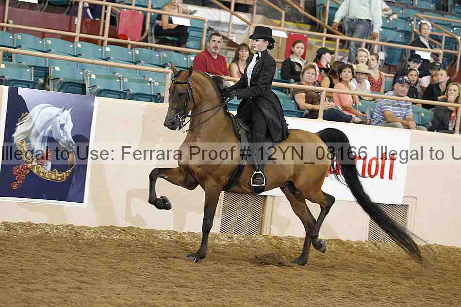 Proof 12yn_08166