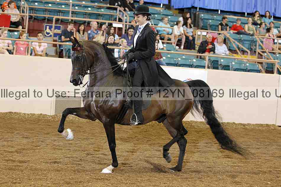 Proof 12yn_08169