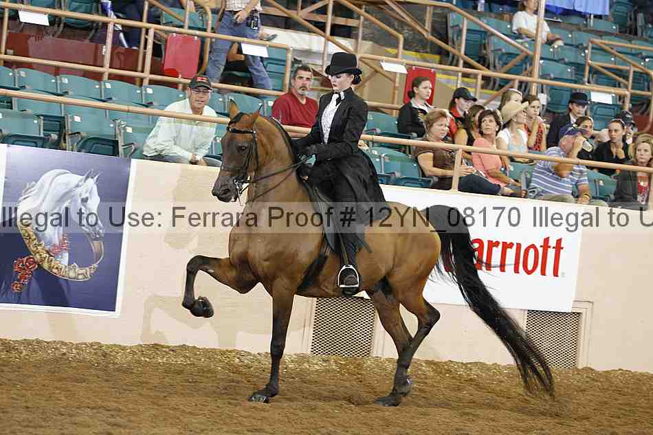 Proof 12yn_08170