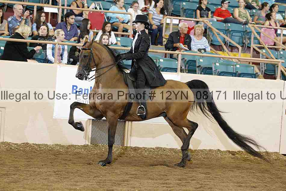 Proof 12yn_08171