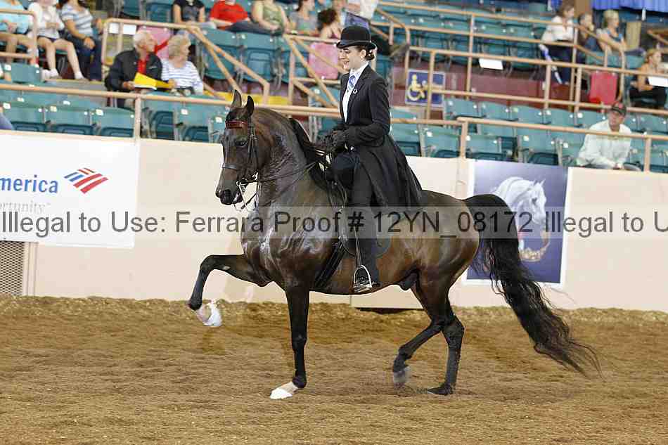 Proof 12yn_08172