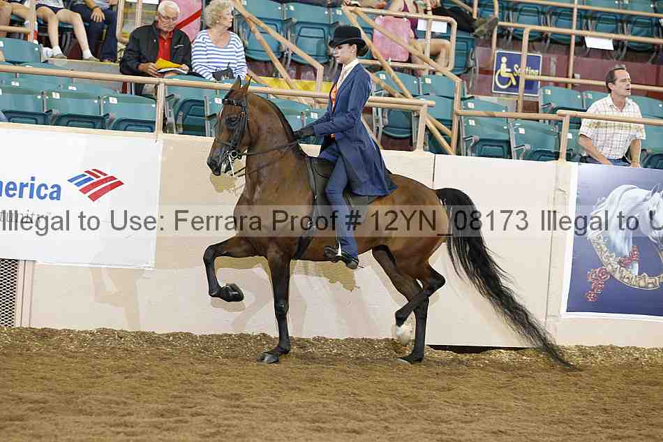Proof 12yn_08173