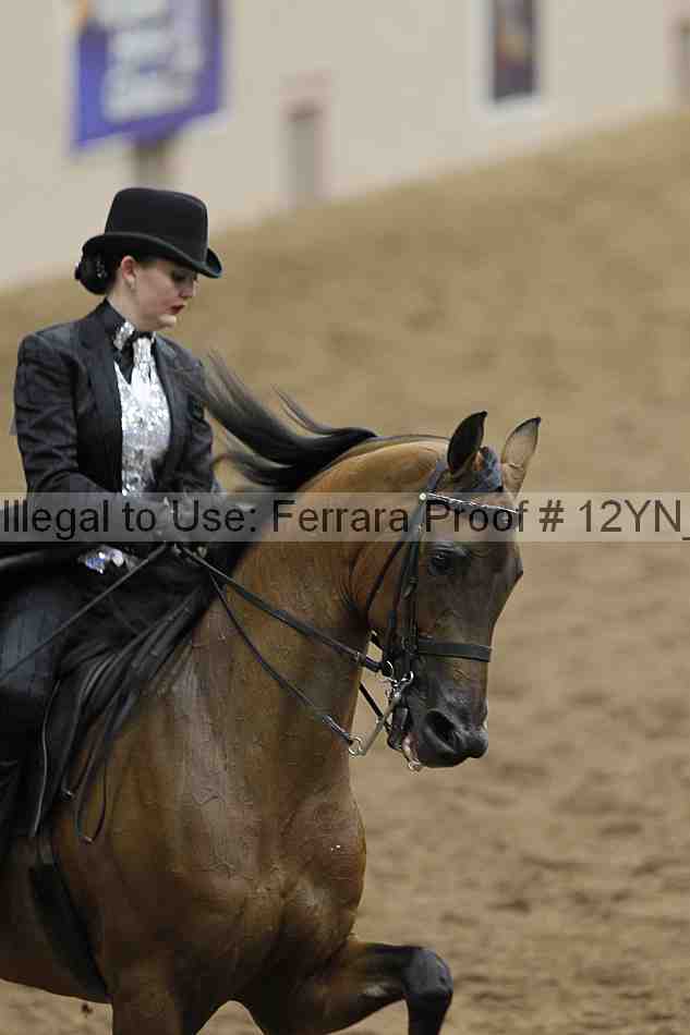 Proof 12yn_08175