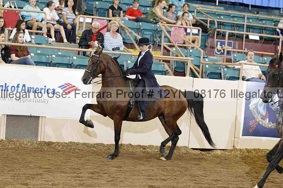 Proof 12yn_08176