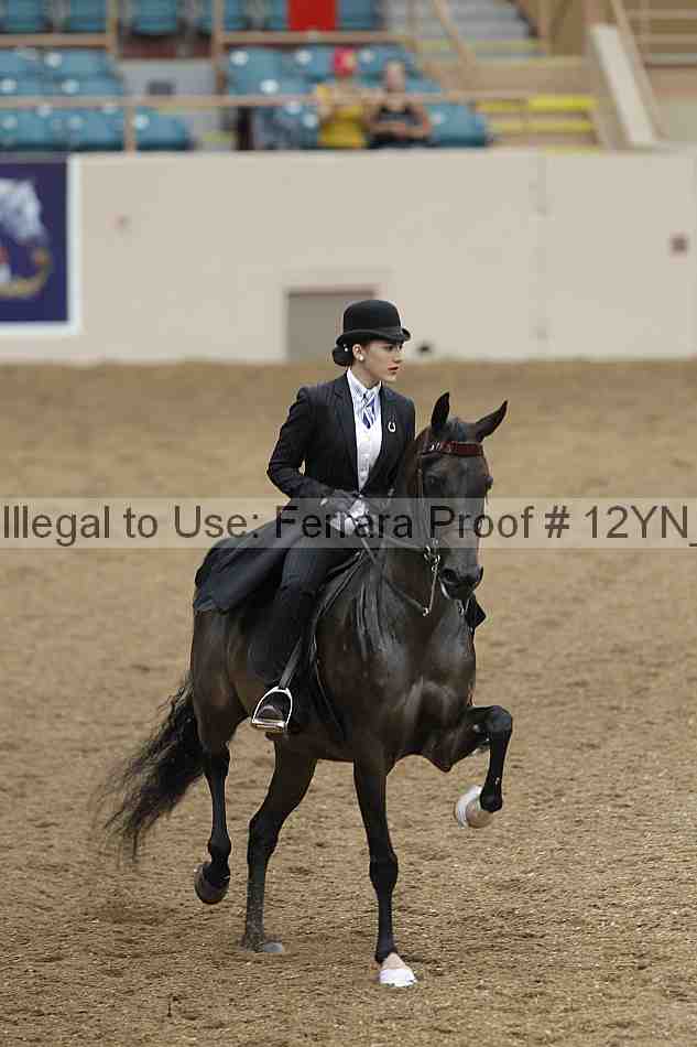 Proof 12yn_08177